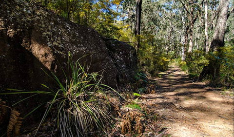Starlights Trail - Tweed Heads Accommodation 0