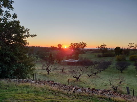 Taralee Orchards - Tweed Heads Accommodation 1