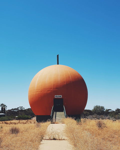 The Big Orange - Tweed Heads Accommodation 0