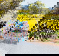 The Heron's Highway - Avon River Cycle Trail - Tweed Heads Accommodation
