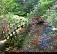 Waitui Falls - Tweed Heads Accommodation