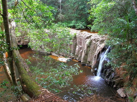 Waitui Falls - Tweed Heads Accommodation 0