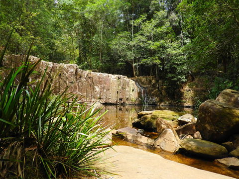 Waitui Falls - Tweed Heads Accommodation 1