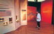 Warradjan Cultural Centre - thumb 1