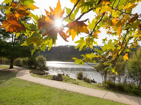 Wentworth Falls Lake - Tweed Heads Accommodation 0