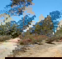 Werakata National Park - Tweed Heads Accommodation
