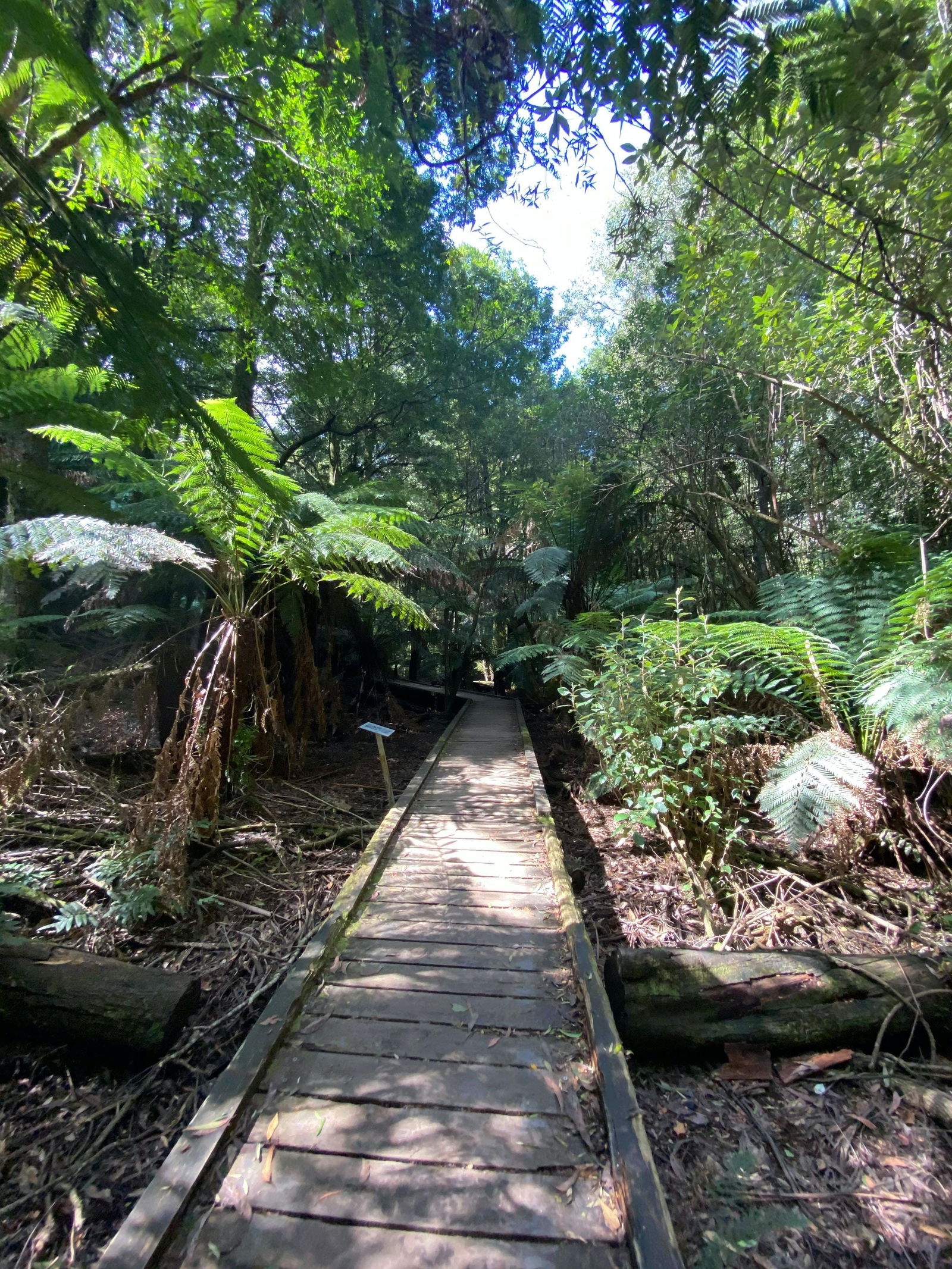 Toolangi VIC Tweed Heads Accommodation