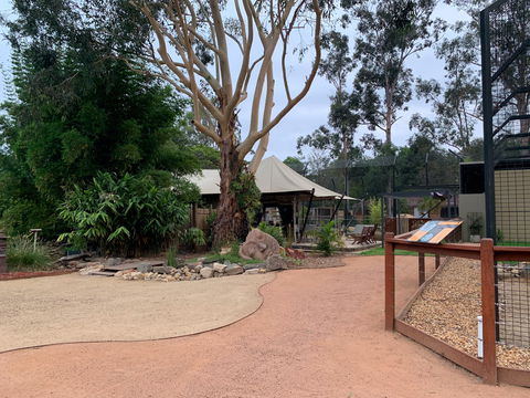 Zambi Wildlife Retreat - Tweed Heads Accommodation 2