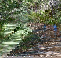 Andersons Trail - Tweed Heads Accommodation