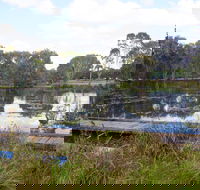 Baldwin Swamp Environmental Park - Tweed Heads Accommodation