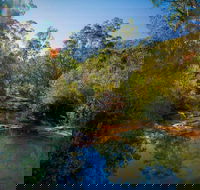 Bargo State Conservation Area - Tweed Heads Accommodation