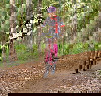 Bom Bom State Forest Mountain Bike Trails - Tweed Heads Accommodation