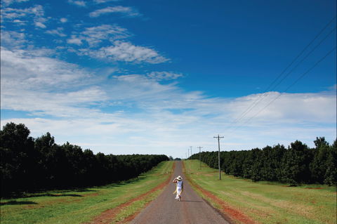 Bundaberg Region - Tweed Heads Accommodation 1