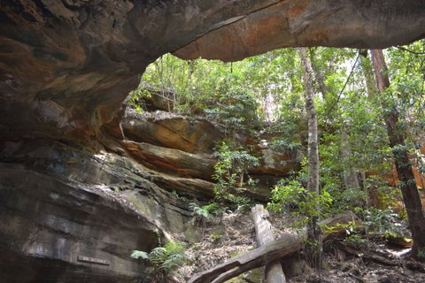 Cave Creek Walking Track - Tweed Heads Accommodation 0