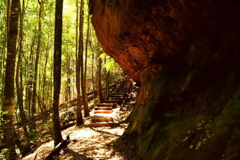 Cave Creek Walking Track - Tweed Heads Accommodation 1