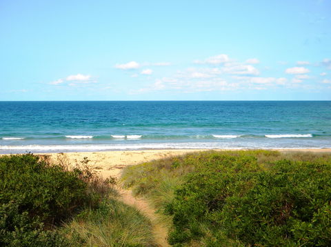 Culburra Surf Beach - Tweed Heads Accommodation 1