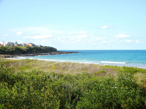 Culburra Surf Beach - Tweed Heads Accommodation 2
