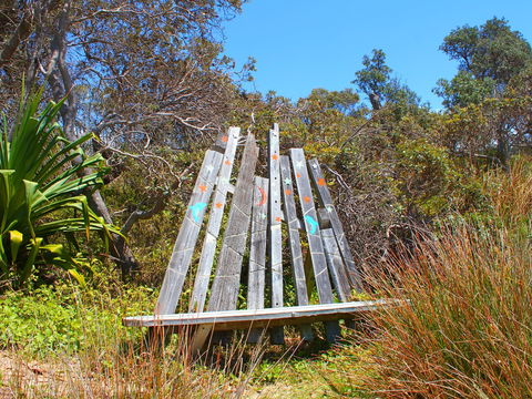 Diggers Headland - Tweed Heads Accommodation 1