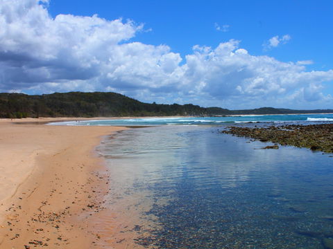 Diggers Headland - Tweed Heads Accommodation 2
