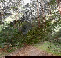 End Peak walking track - Tweed Heads Accommodation