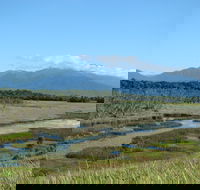 Eubenangee Swamp National Park - Tweed Heads Accommodation