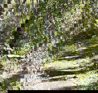 Euglah Rock Walking Track - Tweed Heads Accommodation