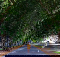 Fig Tree Avenue - Tweed Heads Accommodation