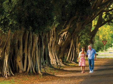 Fig Tree Avenue - Tweed Heads Accommodation 1