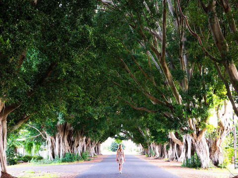 Fig Tree Avenue - Tweed Heads Accommodation 2