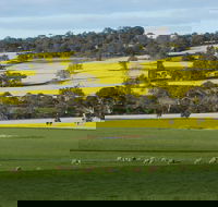 Fini Olives - Tweed Heads Accommodation