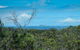 Forest Walking Track, Crowdy Bay National Park - thumb 0