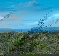 Forest Walking Track Crowdy Bay National Park - Tweed Heads Accommodation
