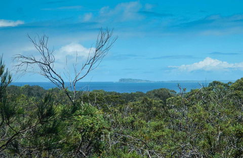 Forest Walking Track, Crowdy Bay National Park - Tweed Heads Accommodation 0