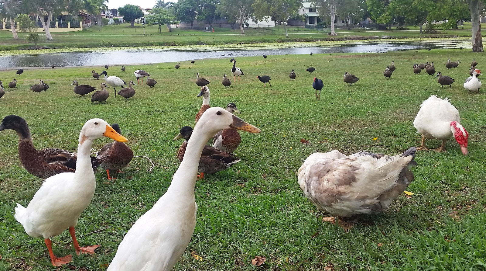  Tweed Heads Accommodation