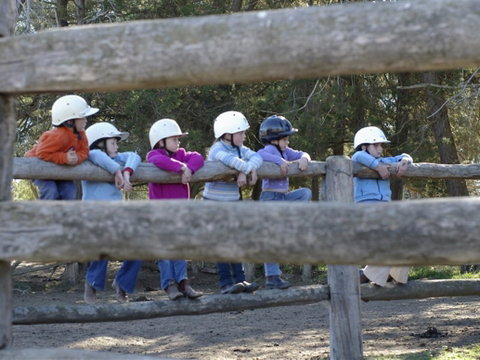 Harlow Park Horse Riding - Tweed Heads Accommodation 0