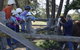 Harlow Park Horse Riding - thumb 2