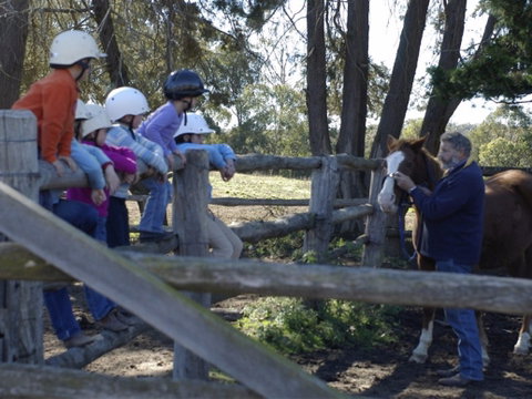 Harlow Park Horse Riding - Tweed Heads Accommodation 2