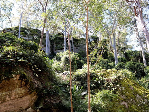 Haunted Point Loop Walk - Tweed Heads Accommodation 0
