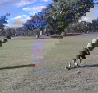 Inverell Golf Club - Tweed Heads Accommodation