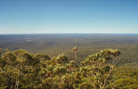 Jerrawangala National Park - Tweed Heads Accommodation 0