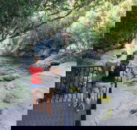 Josephine Falls walking track Wooroonooran National Park - Tweed Heads Accommodation