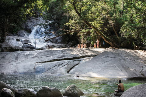 Josephine Falls Walking Track, Wooroonooran National Park - Tweed Heads Accommodation 1