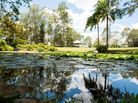 Kholo Gardens - Tweed Heads Accommodation 1