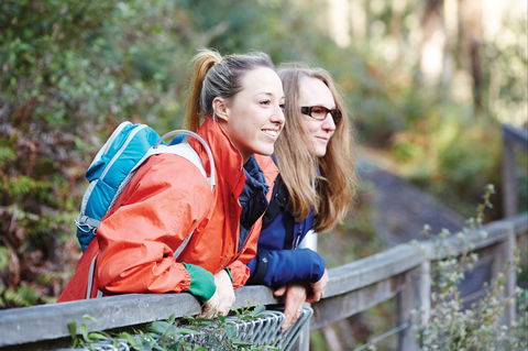 Kinglake National Park - Tweed Heads Accommodation 2