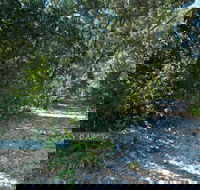 Lillypilly loop trail - Tweed Heads Accommodation