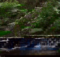 Millards Creek Walk and Cycleway - Tweed Heads Accommodation