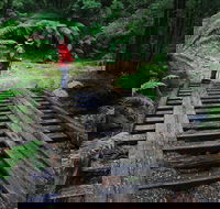 Montezuma Falls - Tweed Heads Accommodation