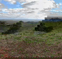Mount Napier State Park - Tweed Heads Accommodation