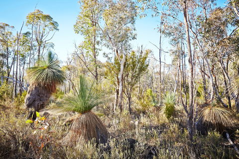 Mt Glenrowan Lookout Walk - Tweed Heads Accommodation 2