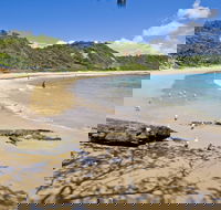 Nambucca Heads Beaches - Tweed Heads Accommodation